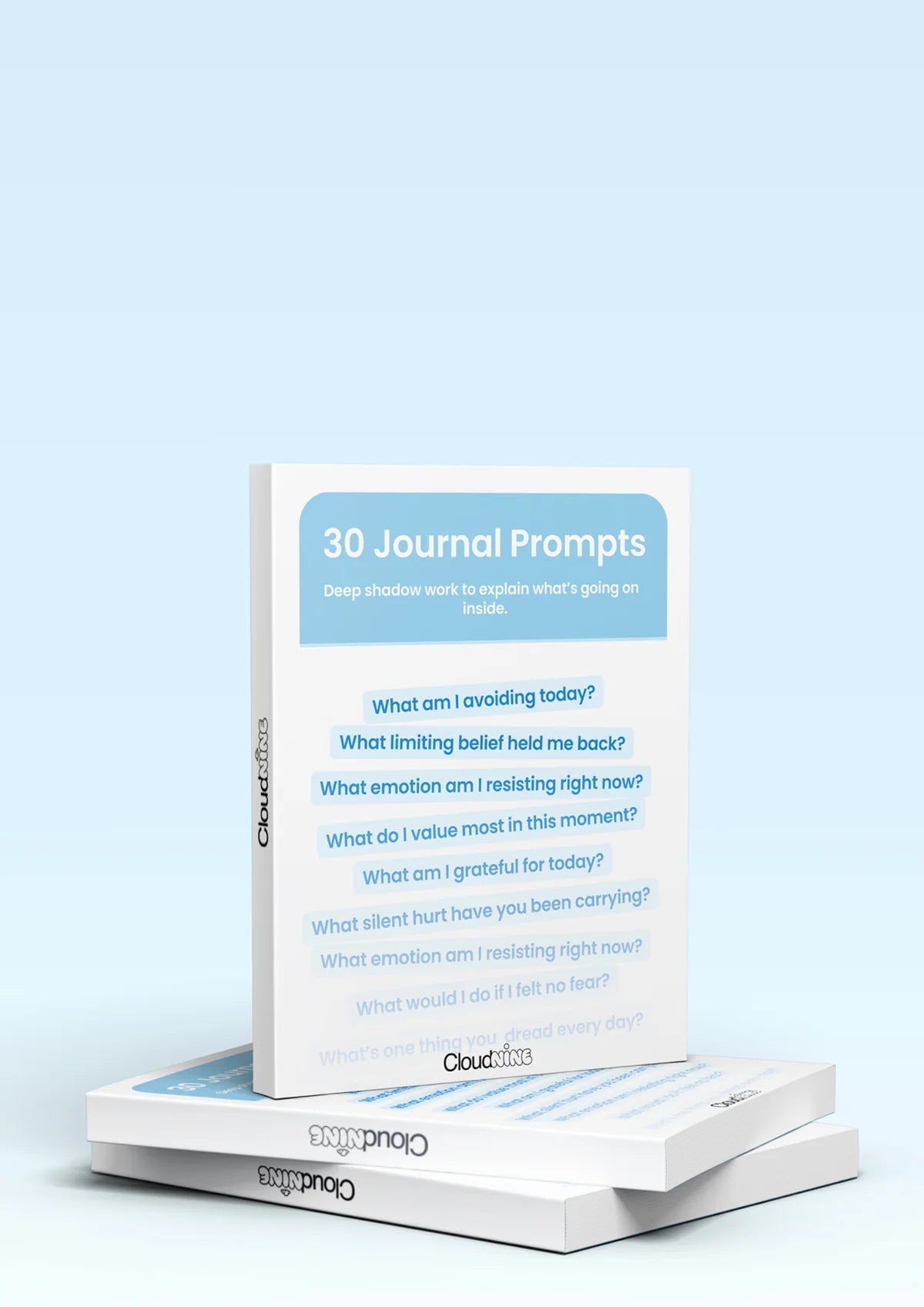 30 Journal Prompts Zerya