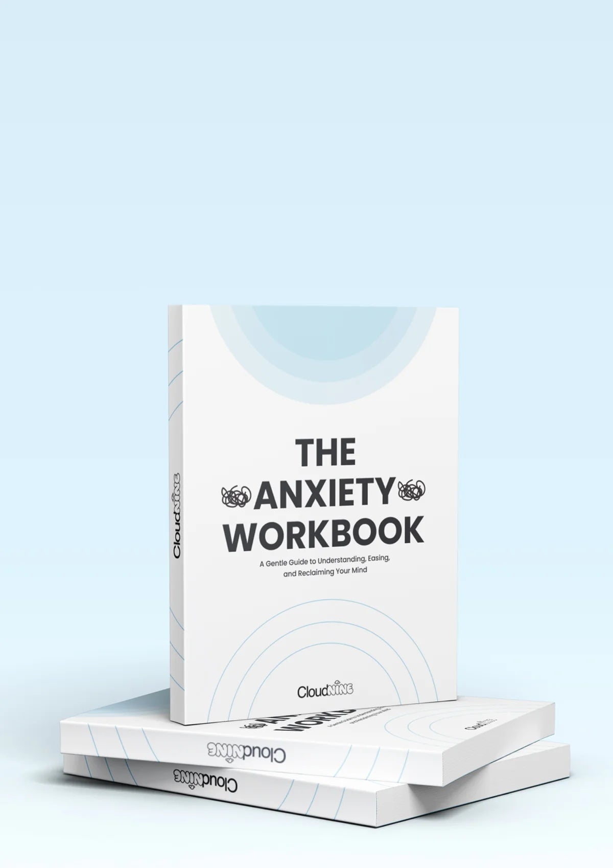 The Anxiety Workbook Zerya